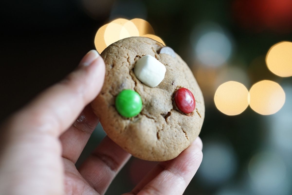 Hand holding a holiday cookie with lights at the background.