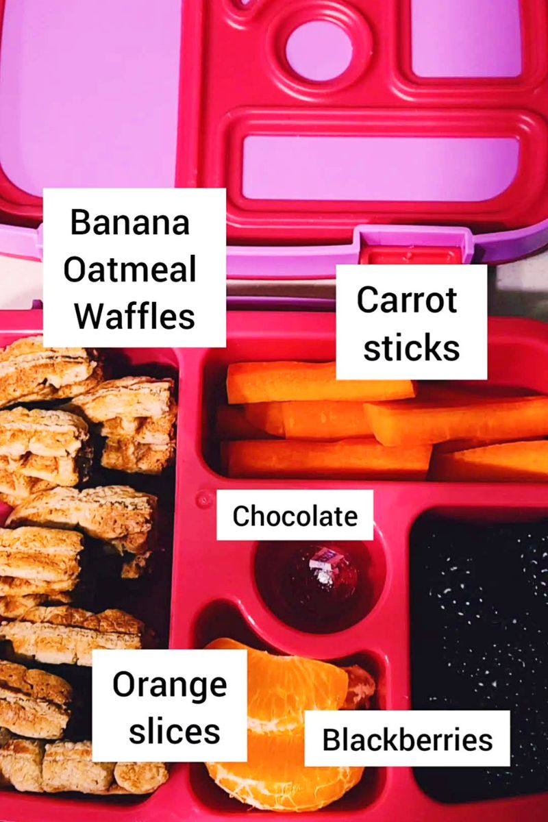 Kids Lunchbox with waffles, carrots, orange and chocolate.
